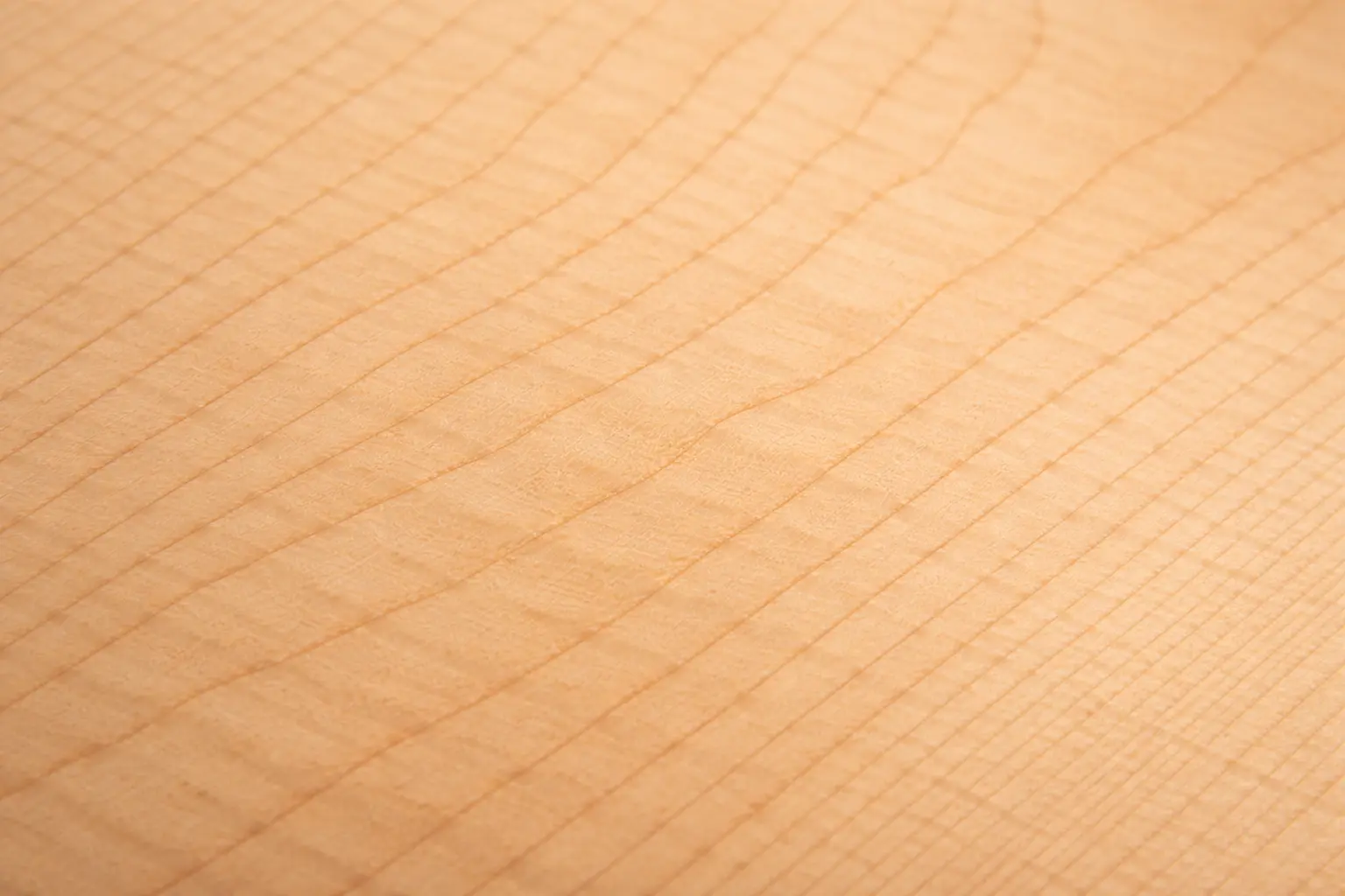 Detailed view of maple tonewood