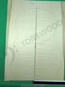 Gitarrenböden und Zargen